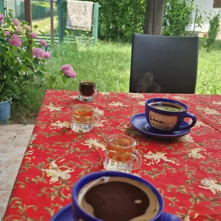 Garic * Veliko Gradiste